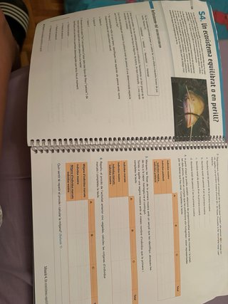 Matemàtiques, 4 ESO, Situacions Quadern d'apren...