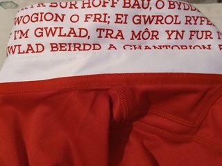 Camisa Polo Rugby Copa Mundo França 2023