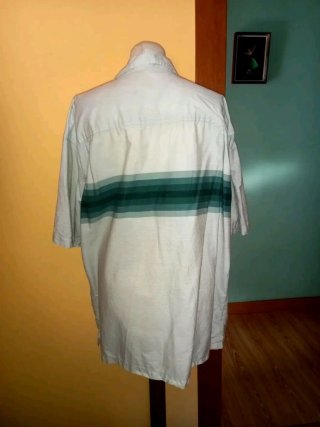 Camisa de rayas verdes y blancas