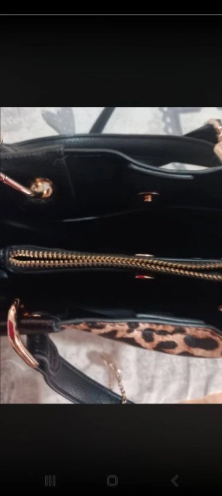 Vendesi borsa maculata
