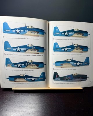 Hellcat Aces of World War 2