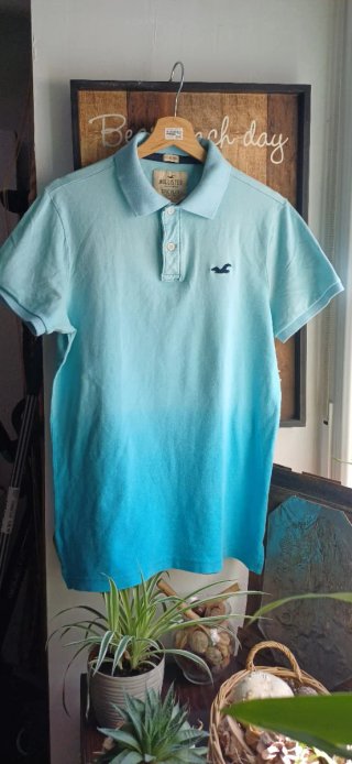 Polo Hollister color verde azulado