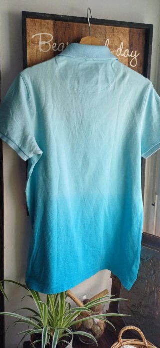 Polo Hollister color verde azulado