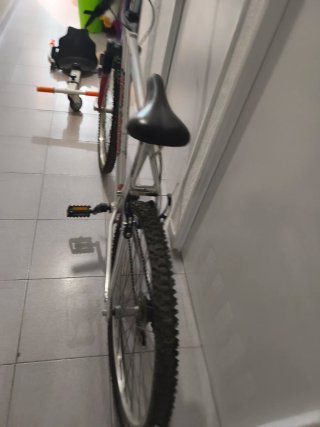 Bicicleta de montaña plateada