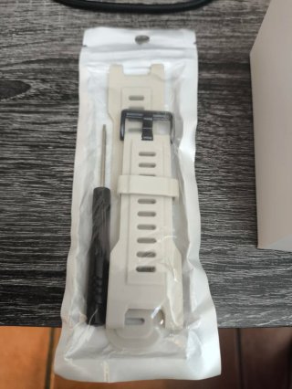 Amazfit T-Rex Pro Beige/Gris