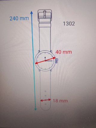 Reloj Casio Quartz Verde y Plateado Talla 40 mm