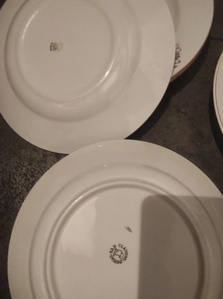 Platos Porcelana Borde Dorado