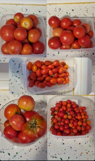 Verduras ecologicas sin pesticidas