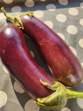 Verduras ecologicas sin pesticidas