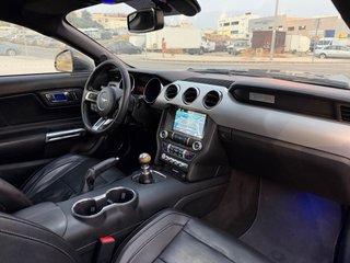FORD MUSTANG ECOBOOST 2.3 TURBO 318CV NACIONAL