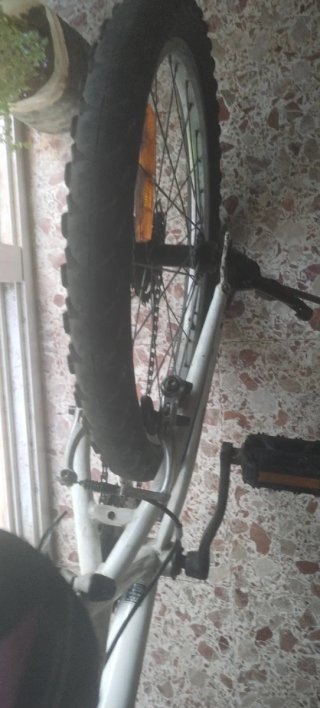 Bicicleta blanca
