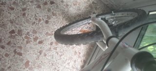 Bicicleta blanca