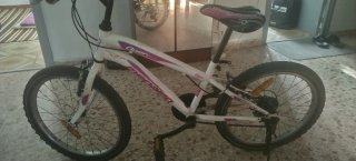 Bicicleta blanca