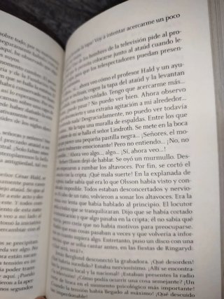 Los escarabajos vuelan al atardecer