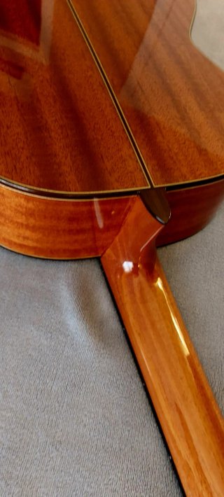Guitarra Cordoba C9 Crossover