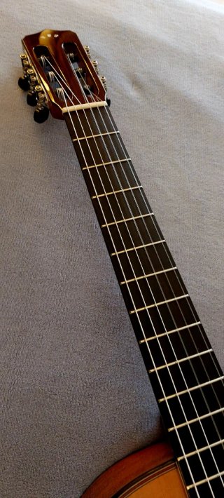 Guitarra Cordoba C9 Crossover