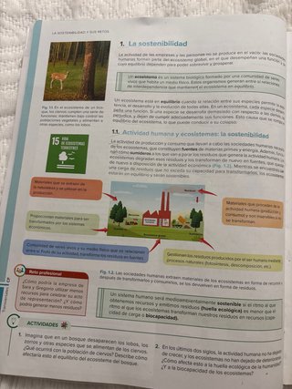 Sostenibilidad aplicada al sistema productivo