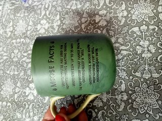 Caneca verde com alça dourada e estampa de alce