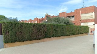 Jardinero particular profesional