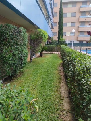 Jardinero particular profesional