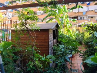 Jardinero particular profesional