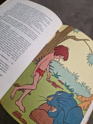 Libro  Vintage ' El Libro de la Selva'