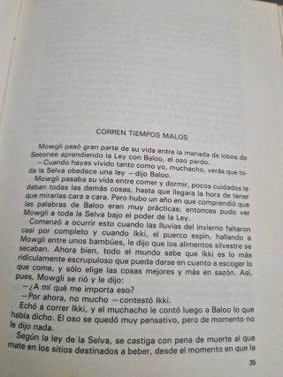 Libro  Vintage ' El Libro de la Selva'