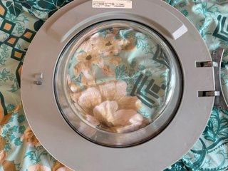 Puerta Lavadora Balay 7kg