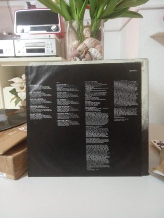 Neverland LP Vinilo