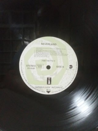 Neverland LP Vinilo