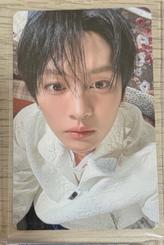 Photocards  Stray Kids In Our Little House