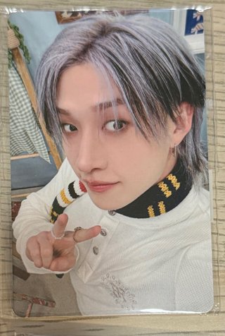 Photocards  Stray Kids In Our Little House