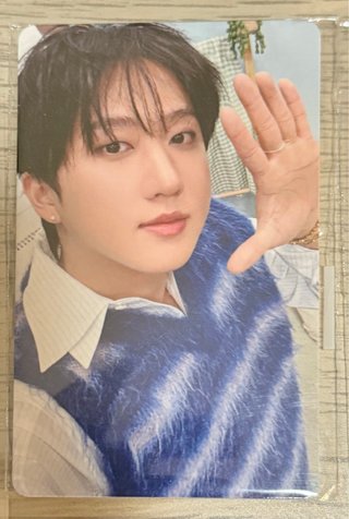 Photocards  Stray Kids In Our Little House