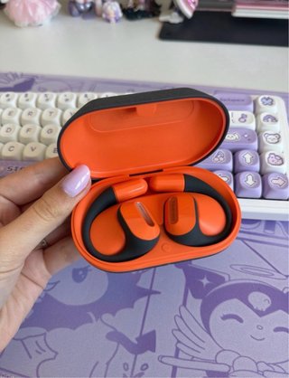 Truefree Earbuds / Earphones