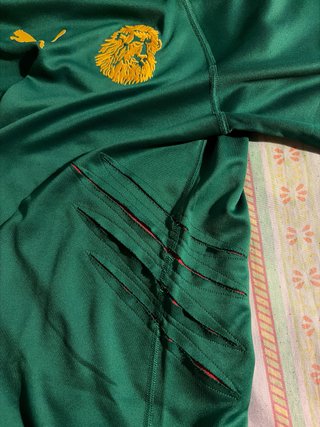 Maglia Camerun Puma