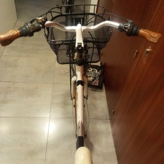 Bicicleta urbana Bottecchia