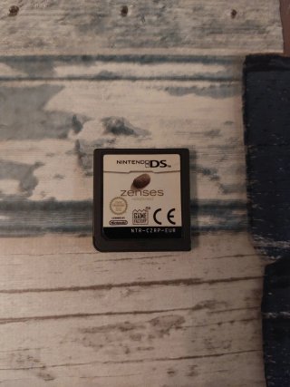 Zenses Rainforest Nintendo DS