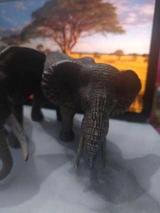 Par de Elefantes Schleich