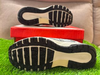 Zapatillas Nike plateadas y blancas