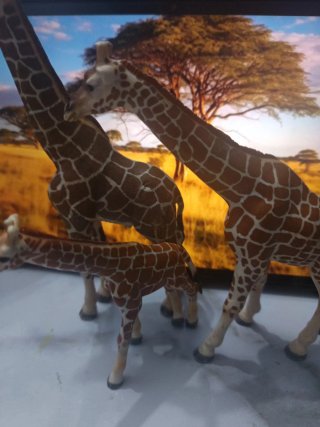 Familia de Jirafas Schleich