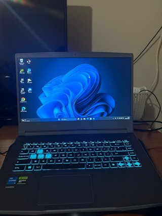 Portátil Gaming MSI Thin 15 B12UC