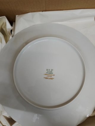 Prato Limoges Bernardaud Verlaine