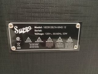 Supro Delta King 12 con mejoras
