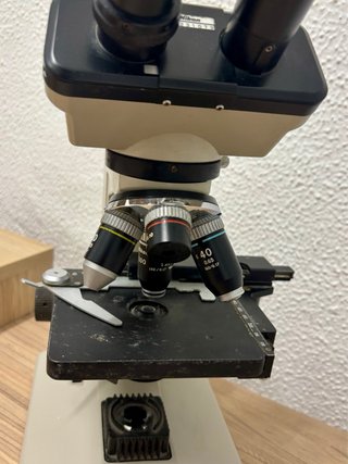 Microscopio Nikon Profesional