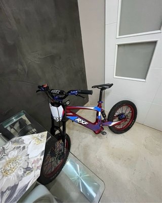 Bici eléctrica RXF