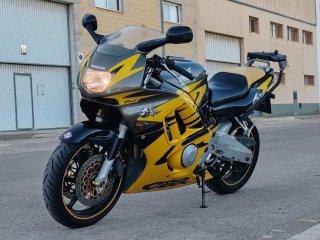 Honda CBR 600 F3 Sportbike Amarilla y Gris.