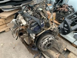 Motor Nissan Navara