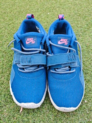 Tênis Nike SB Trainerendor Azul