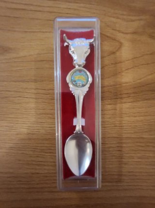 Lote 6 Cucharillas Souvenir Bañadas en Plata