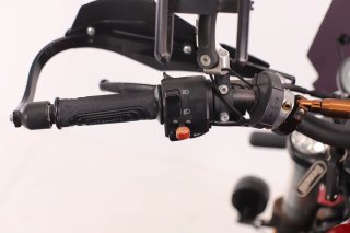 BENELLI LEONCINO 500 2024